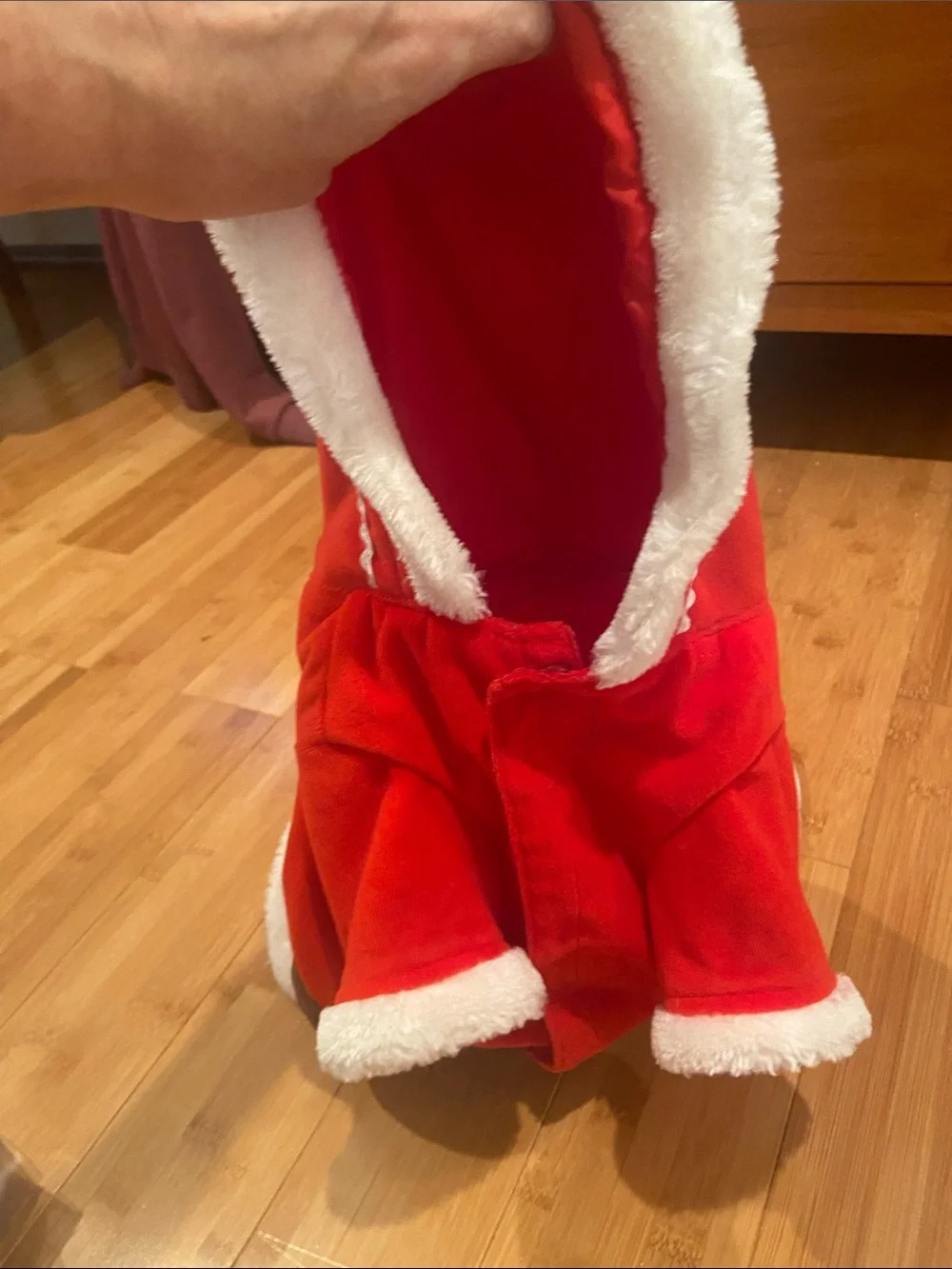 Dog Red Santa Costume Coat with White Trim